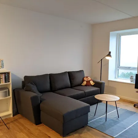 Aalborg Apartment With View